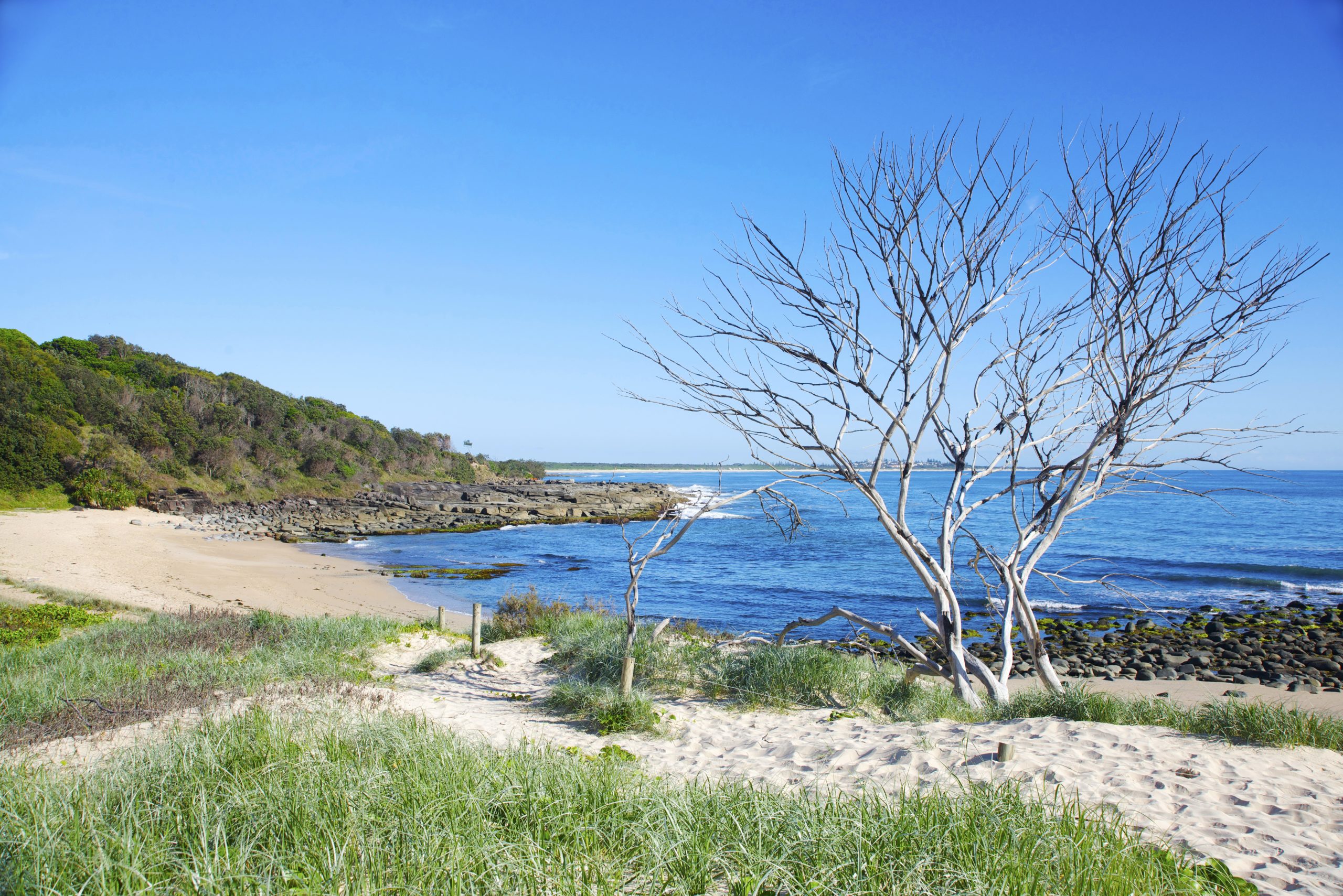Angourie beach, world-famous surf break